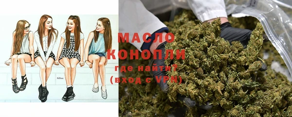 СК Новодвинск