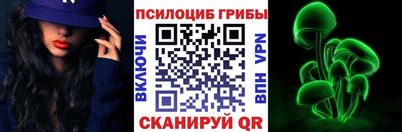 Галлюциногенные грибы Psilocybine cubensis  купить наркотик  Севск 